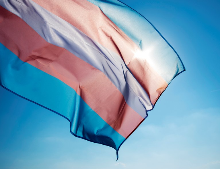 transflag